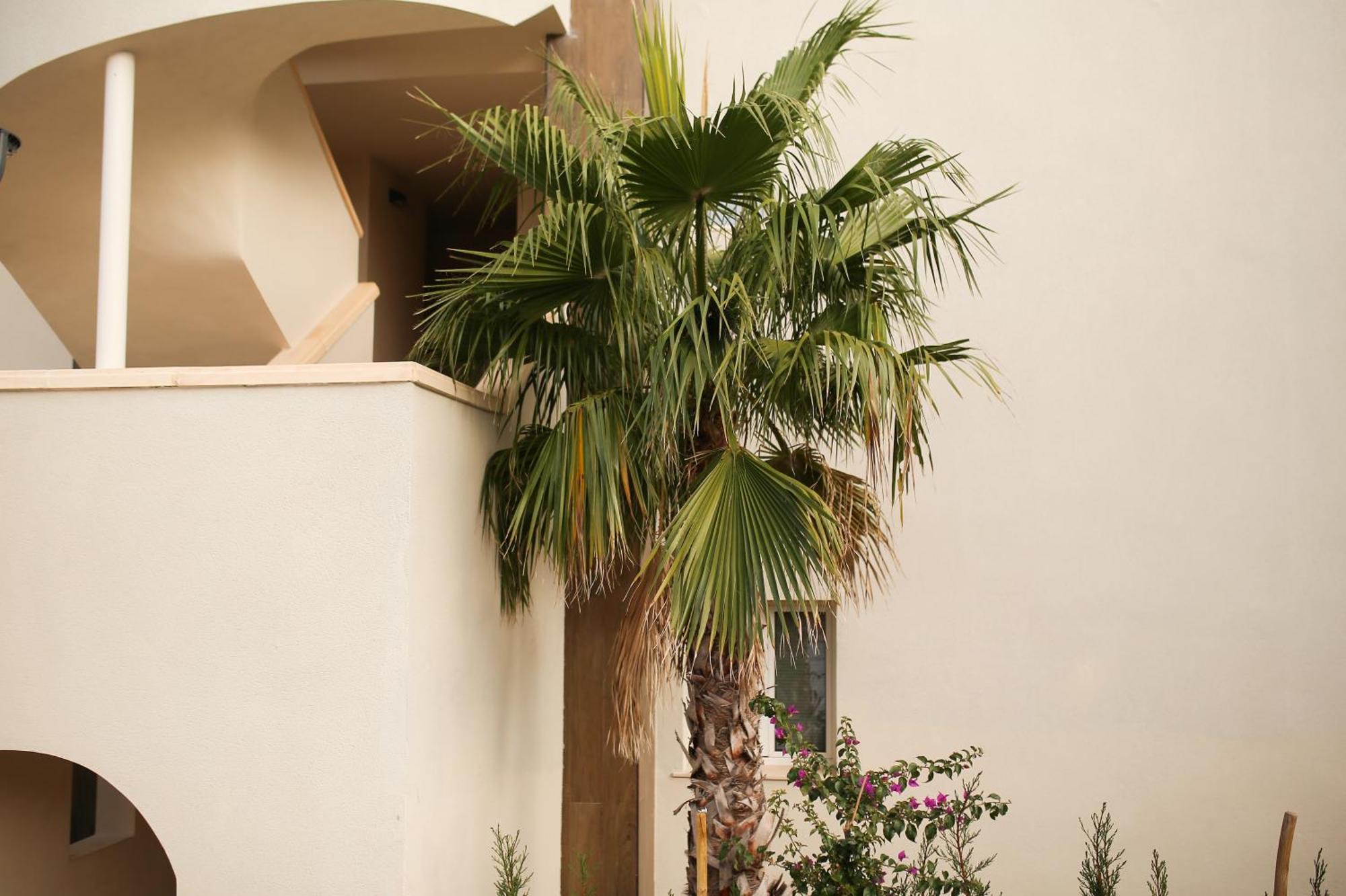 Modern Flat With Montgo View Apartment Denia Ngoại thất bức ảnh