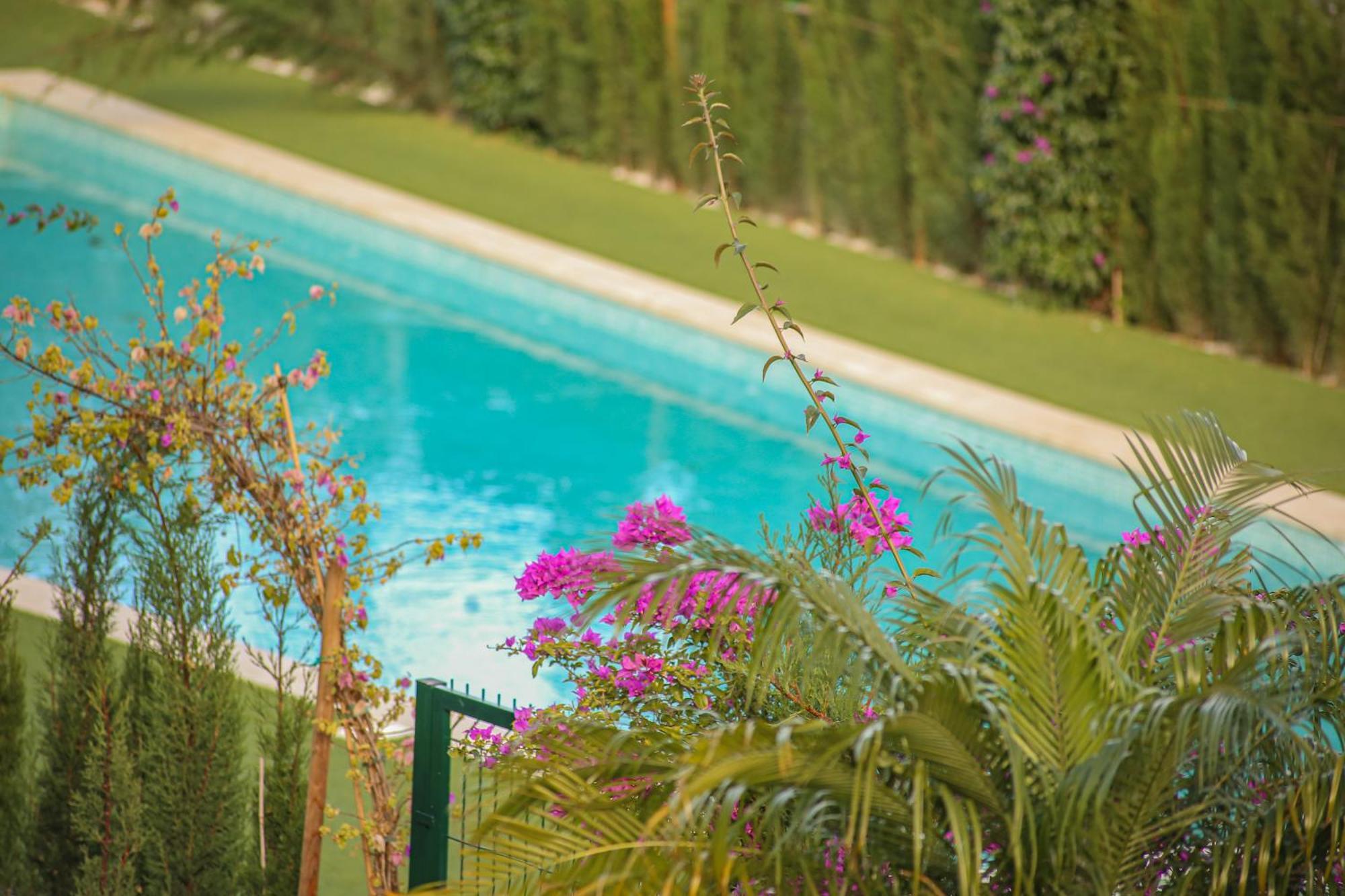 Modern Flat With Montgo View Apartment Denia Ngoại thất bức ảnh